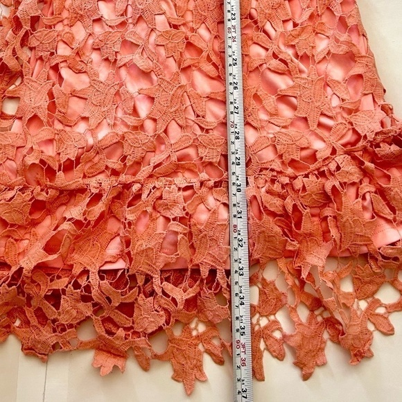 Anthropologie  Lucy Wang Dusty Rose Lace floral Dress size L - Picture 5 of 8